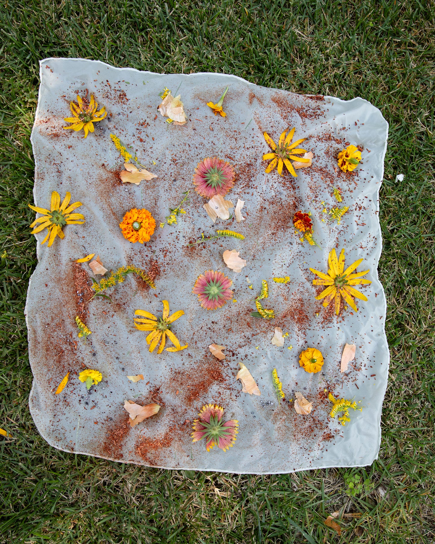 Bundle Dyeing at Rose Hill Farm | Saturday Sept 12, 2026 from 2-3:30pm