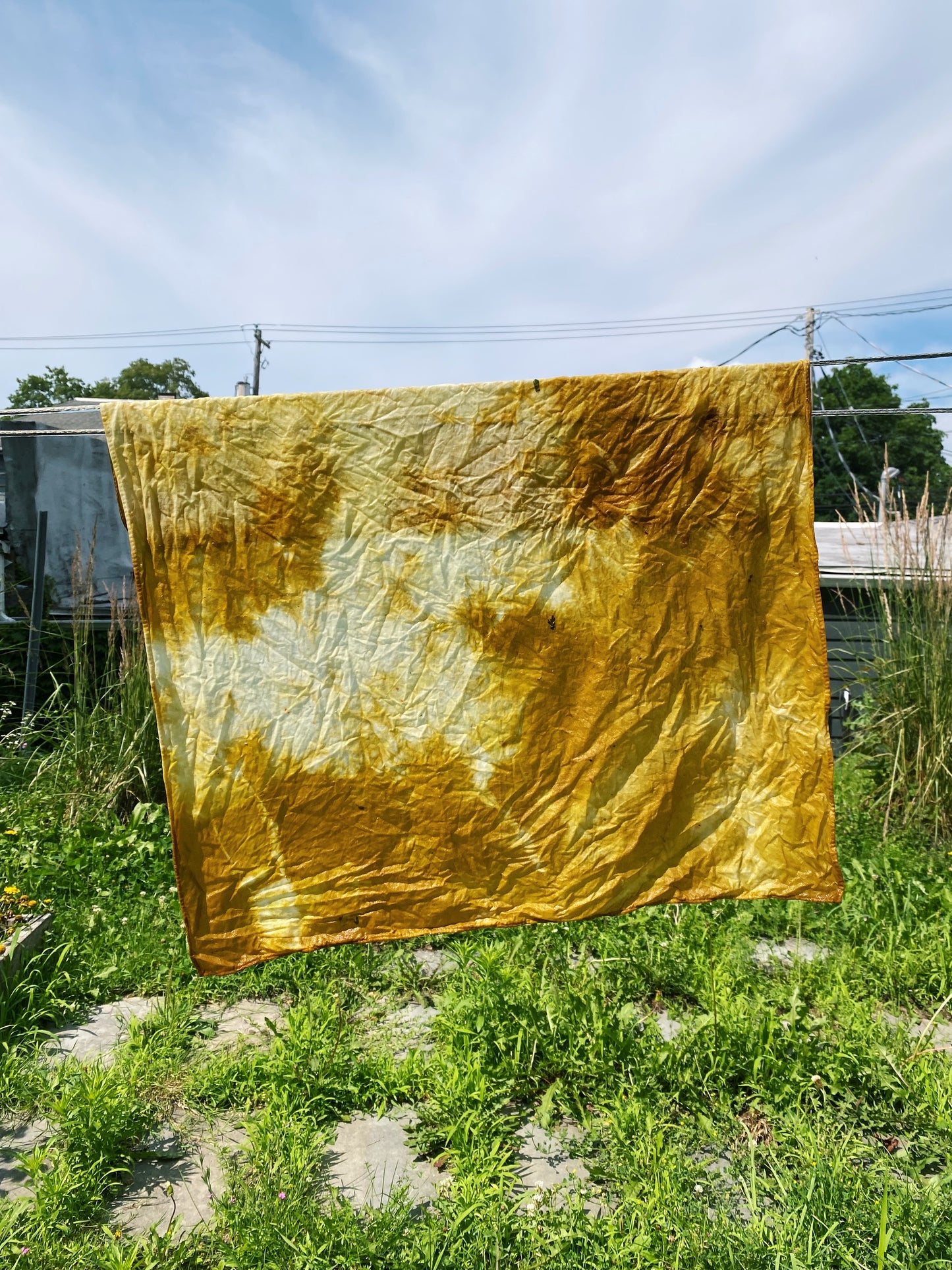 Natural Dyes with Kitchen Scraps with Jamie Lyn Kara | May 19, 1-3:30pm at Troutbeck