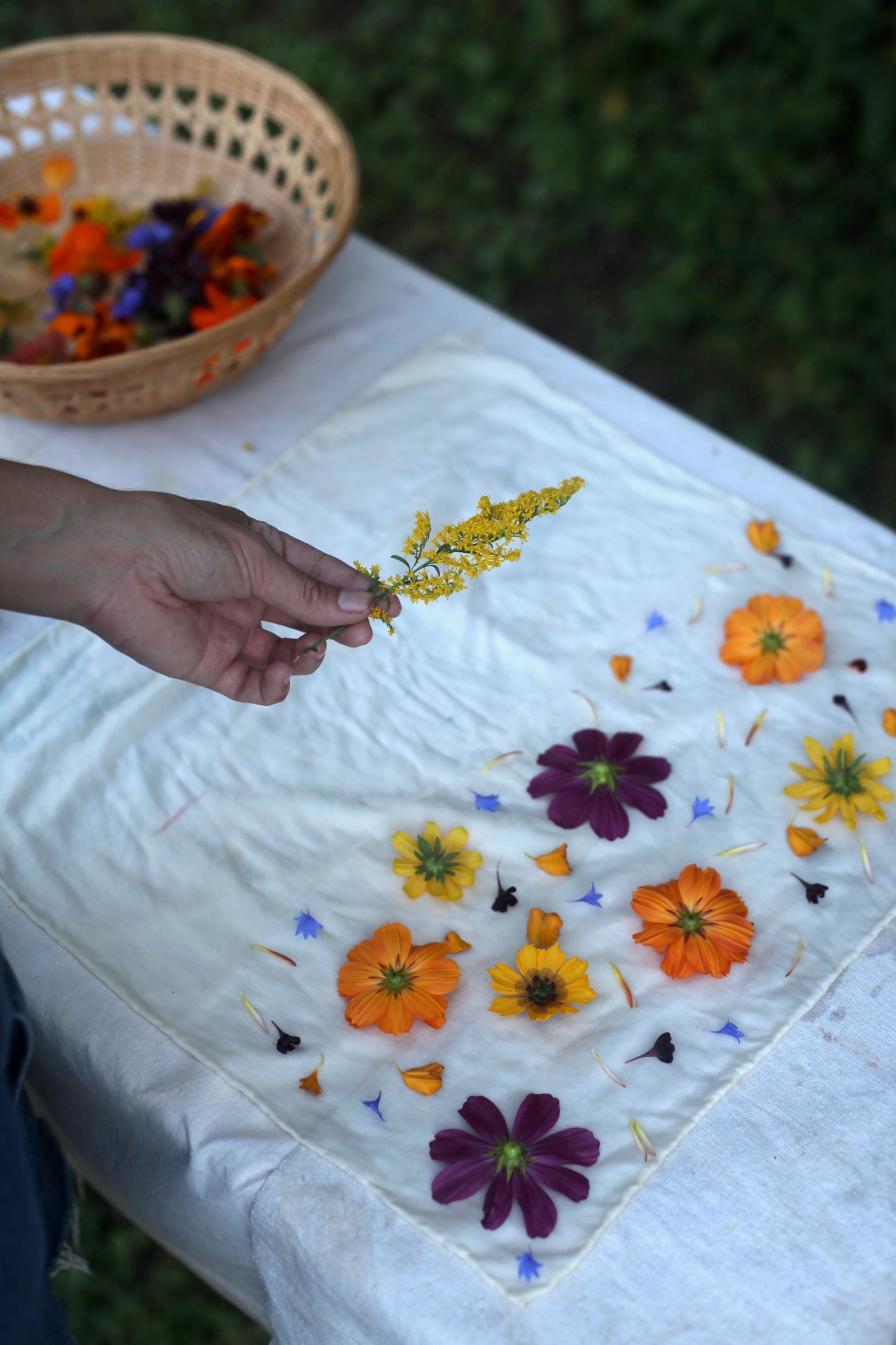 Bundle Dyeing at Maitri Farm with Jamie Lyn Kara | Saturday Sept 6, 2025 2-4:30pm