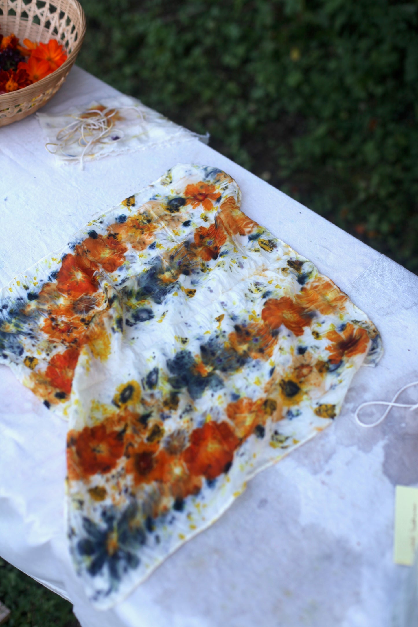 Bundle Dyeing at Maitri Farm with Jamie Lyn Kara | Saturday Sept 6, 2025 2-4:30pm
