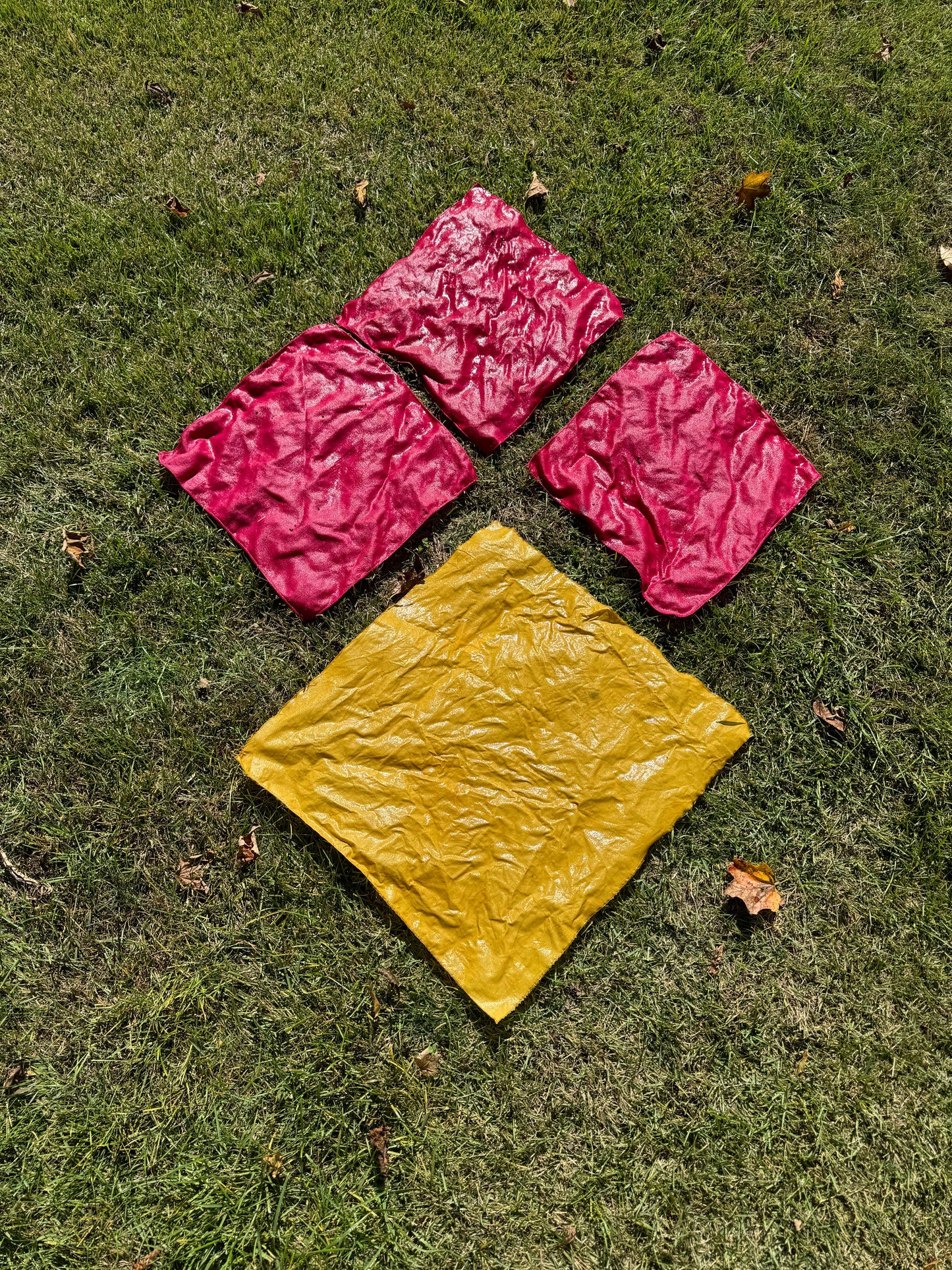 Natural Dye Napkins | Sunday June 22, 2025 from 1-3pm at Troutbeck