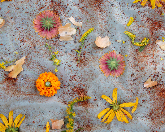 Bundle Dyeing at Rose Hill Farm | Saturday Sept 12, 2026 from 2-3:30pm