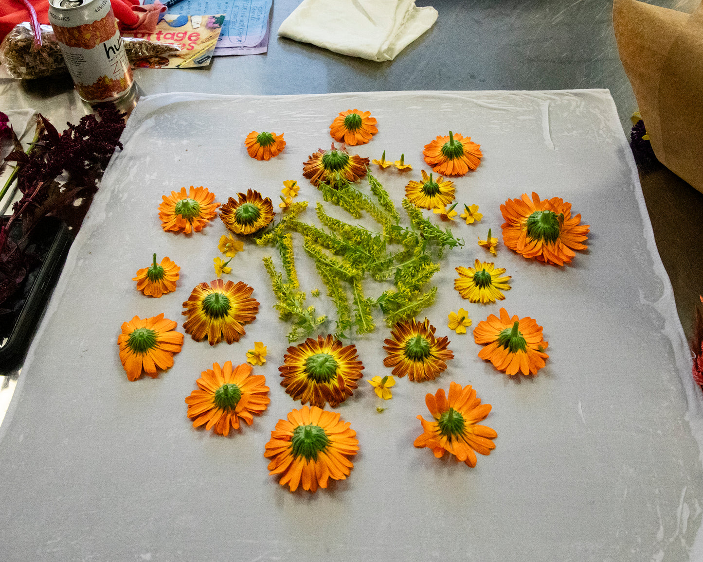 Natural Dyeing at Maitri Farm | Saturday September 19, 2026 from 2-4pm in Amenia, NY