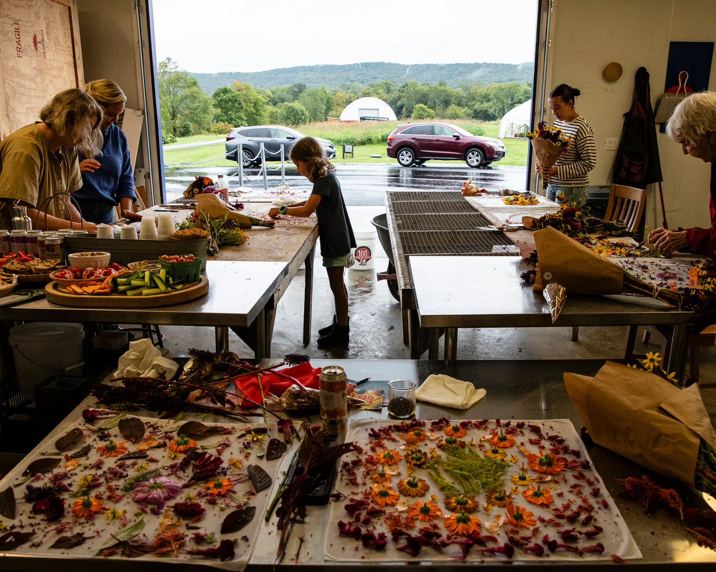 Natural Dyeing at Maitri Farm | Saturday September 19, 2026 from 2-4pm in Amenia, NY