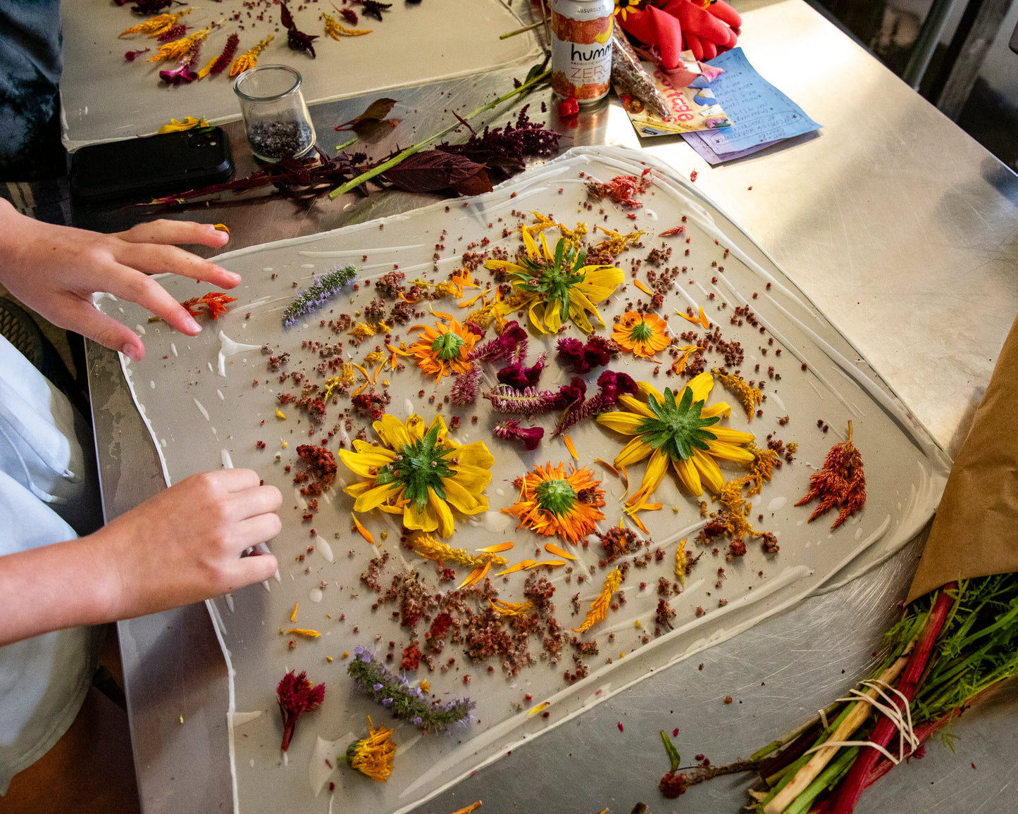 Natural Dyeing at Maitri Farm | Saturday September 19, 2026 from 2-4pm in Amenia, NY
