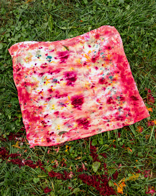 Bundle Dyeing at Rose Hill Farm | Saturday Sept 12, 2026 from 2-3:30pm
