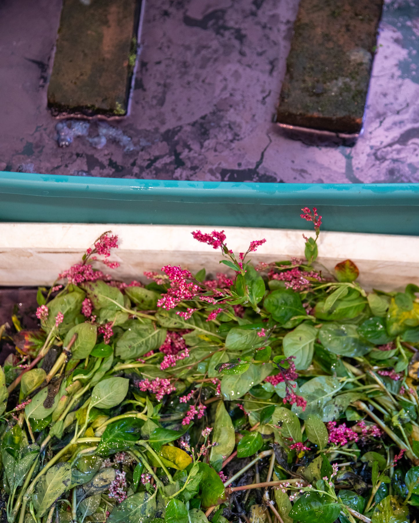 Indigo Course | Sunday May 24, 2026 from 1-3:30pm at Troutbeck