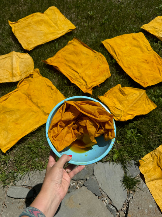 Natural Dye Napkins | Sunday June 22, 2025 from 1-4pm at Troutbeck