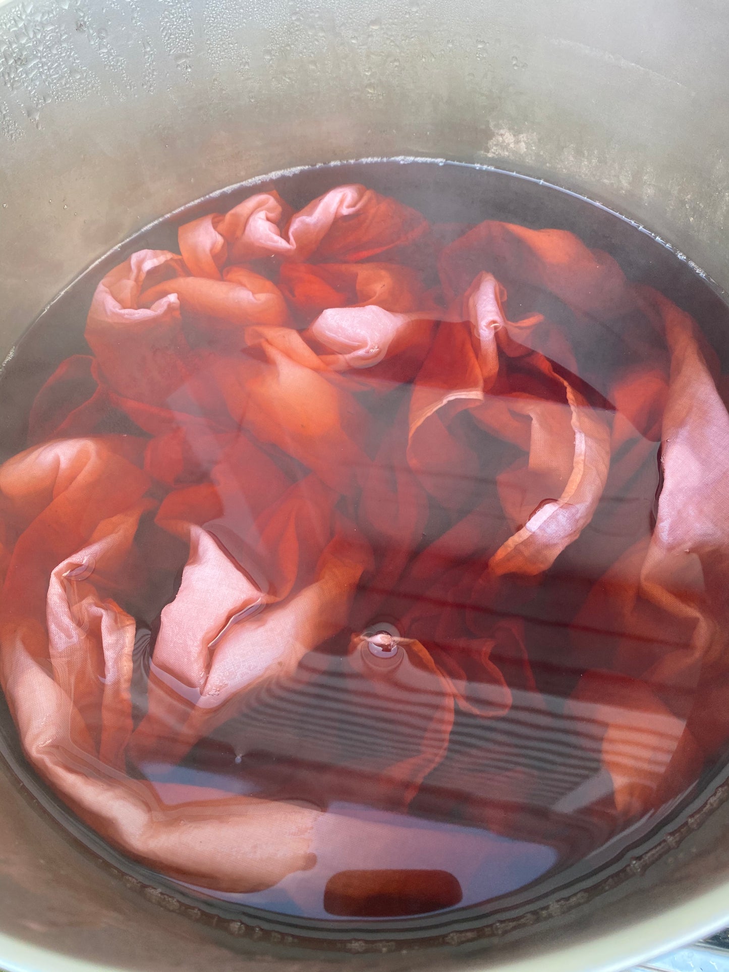 Natural Dyes with Kitchen Scraps with Jamie Lyn Kara | May 19, 1-3:30pm at Troutbeck